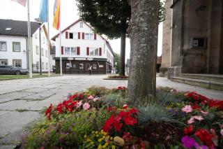 Landhotel Jägerhof - Bischofsgrün - 4