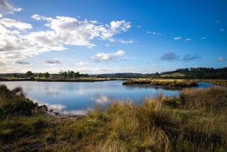 Pelican Point Sanctuary - St Helens - 5