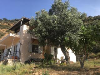 Meer an Oliven - Agia Galini - 0