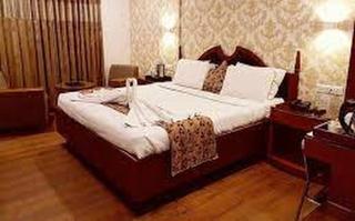 Hotel Punjab Palace - 3