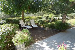 Les Chenes Sessiles - Collobrières - 4