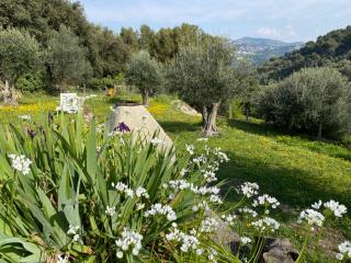 BREATHE Guest-house - Nice - 1