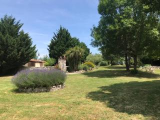 Gîtes de Lartigue - Anthé - 1