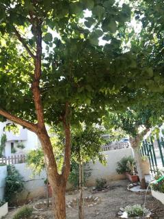 Rania 's house, next to the beach. - Amoudara Herakliou - 4