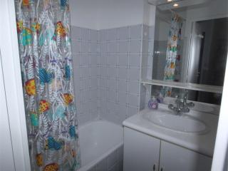 Appartement 2 Pièces avec Cabine, Parking, Internet - Bagnères-de-Luchon - FR-1-313-159 - Luchon - 4