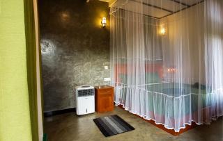 Rain Forest Star - 2