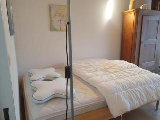 Casa Nadja, nähe Skigebiet Flims-Lax - 1