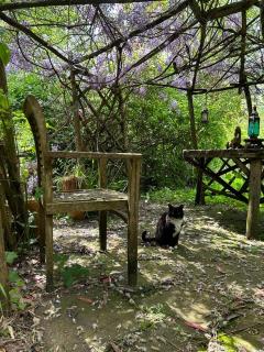 The Garden Room - Ringwood - 5