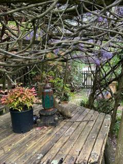 The Garden Room - Ringwood - 6