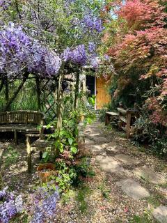 The Garden Room - Ringwood - 0