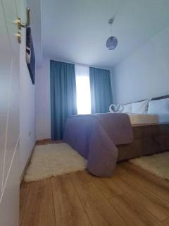 Swiss Apartment 1 - Braşov - 1