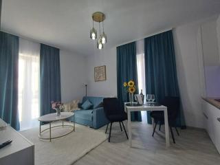 Swiss Apartment 1 - Braşov - 8