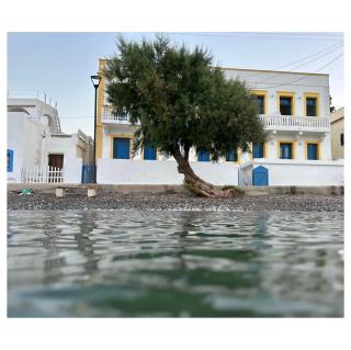 Vera Mare - Agia Marina - 9