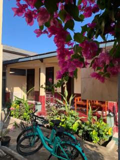 Lisa Homestay - Gili Trawangan - 9