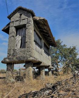 Casa do Barrosinho - 8