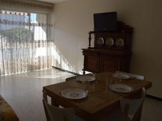Appartement T2 tout équipé, 4 couchages, proche plage et centre - Parking privé, Le Grau-du-Roi - FR-1-250-102 - Le Grau-du-Roi - 3