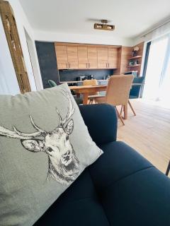 Family 2 bedroom Ski&Bike Apartment with Terrase - Janské Lázně - 0