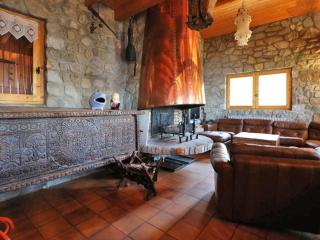 Chalet Savoyard pour 18 pers, proche pistes et commerces, cheminée, balcon, navette gratuite - FR-1-398-582 - Montvalezan - 9