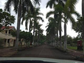 WoodnStone -Lakde ka Bunglow - Murbād - 9