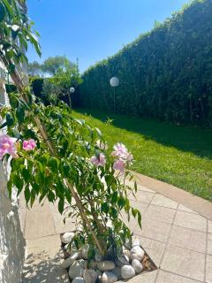 Oasi del Mare… - 7