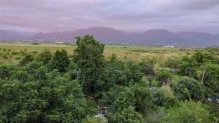 Cosy At Home - Kobuleti - 3