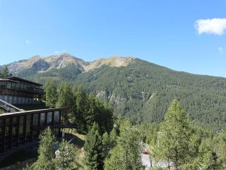 Studio aux Orres 1650, 5 pers., accès direct pistes - FR-1-322-363 - Les Orres - 2
