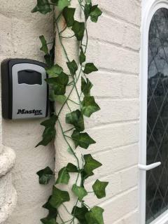 Dolphin Retreat close to Beaches and Harbour - 6