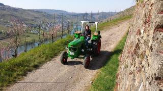 Weingut Hirschen Enkircherweg - Burg an der Mosel - 4