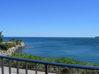 Appart familial 6 pers Banyuls-sur-Mer clim, parking privé, proche plages - FR-1-225C-57 - Banyuls-sur-Mer - 9