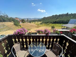 Vila Zorica Vodice - Zlatibor - 2