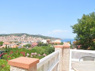 Coquette Villa 2P avec Jardin et Terrasse à Banyuls-sur-Mer - FR-1-225C-63 - Banyuls-sur-Mer - 2