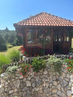 Vila Zorica Vodice - Zlatibor - 9