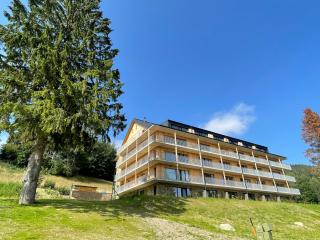 Family 2 bedroom Ski&Bike Apartment with Terrase - Janské Lázně - 9