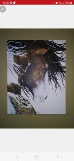 Mountain View Lodging Cody - 3