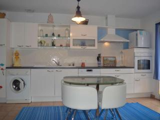 Maison 3 pièces avec jardin, BBQ, animaux admis à Banyuls-sur-Mer - FR-1-225C-74 - Banyuls-sur-Mer - 1