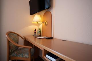 Hotel Zum Prinzen Sinsheim - Sinsheim - 3
