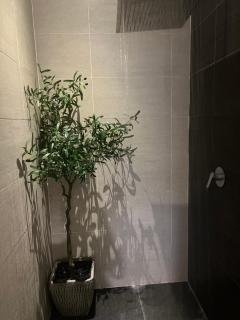 Troika Residency Kota Bharu by The Stay Homestay 1 - Kota Bharu - 5