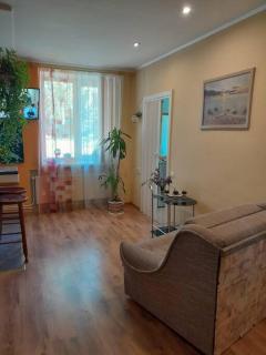 Cozy Apartment - Alūksne - 6