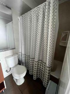 Dpto a Pasos del Palacio de la Moneda - 2