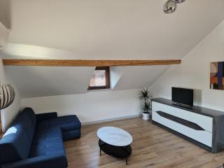 Appartement F2 à 1mn du lac - Publier - 8