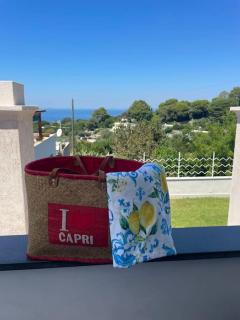 Casa la Felicità - Capri - 9