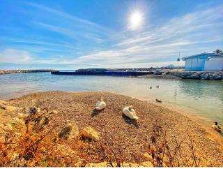 50m plage / 200m hippodrome 2 pièces jardin garage - Cagnes-sur-Mer - 6