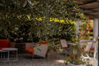 MONOLOCALE CASENUOVE con GIARDINO - 3