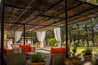 MONOLOCALE CASENUOVE con GIARDINO - 9