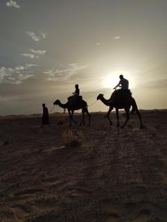 Sahara Desert Trips & Camps - 8