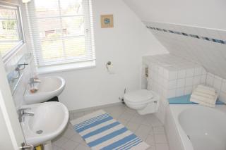 Strandrose - Brasilien - 2