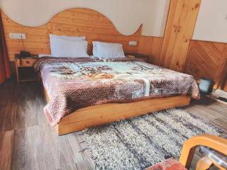 Hotel Hadimba Regency ! Free 4 Wheeler Parking ! Mountain View rooms ! Near Mall road Manali - 4