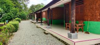 Green Lodge Tangkahan - Tangkahan - 8
