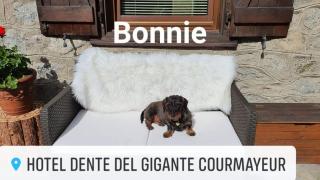 Hotel Dente Del Gigante - 8