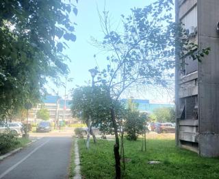 Comfort Apartment - Novi Beograd - 1